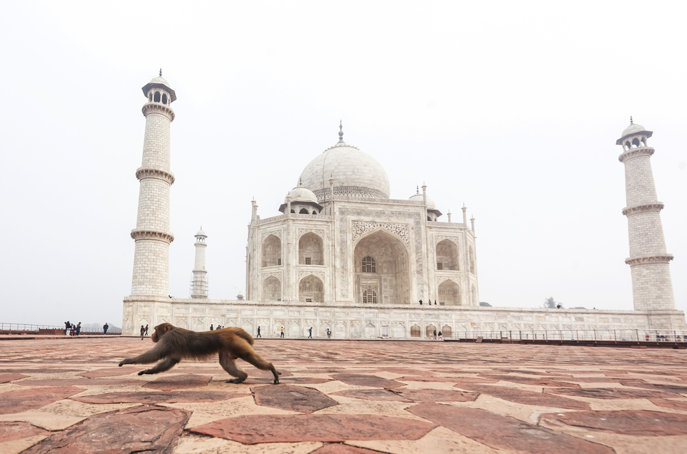 India