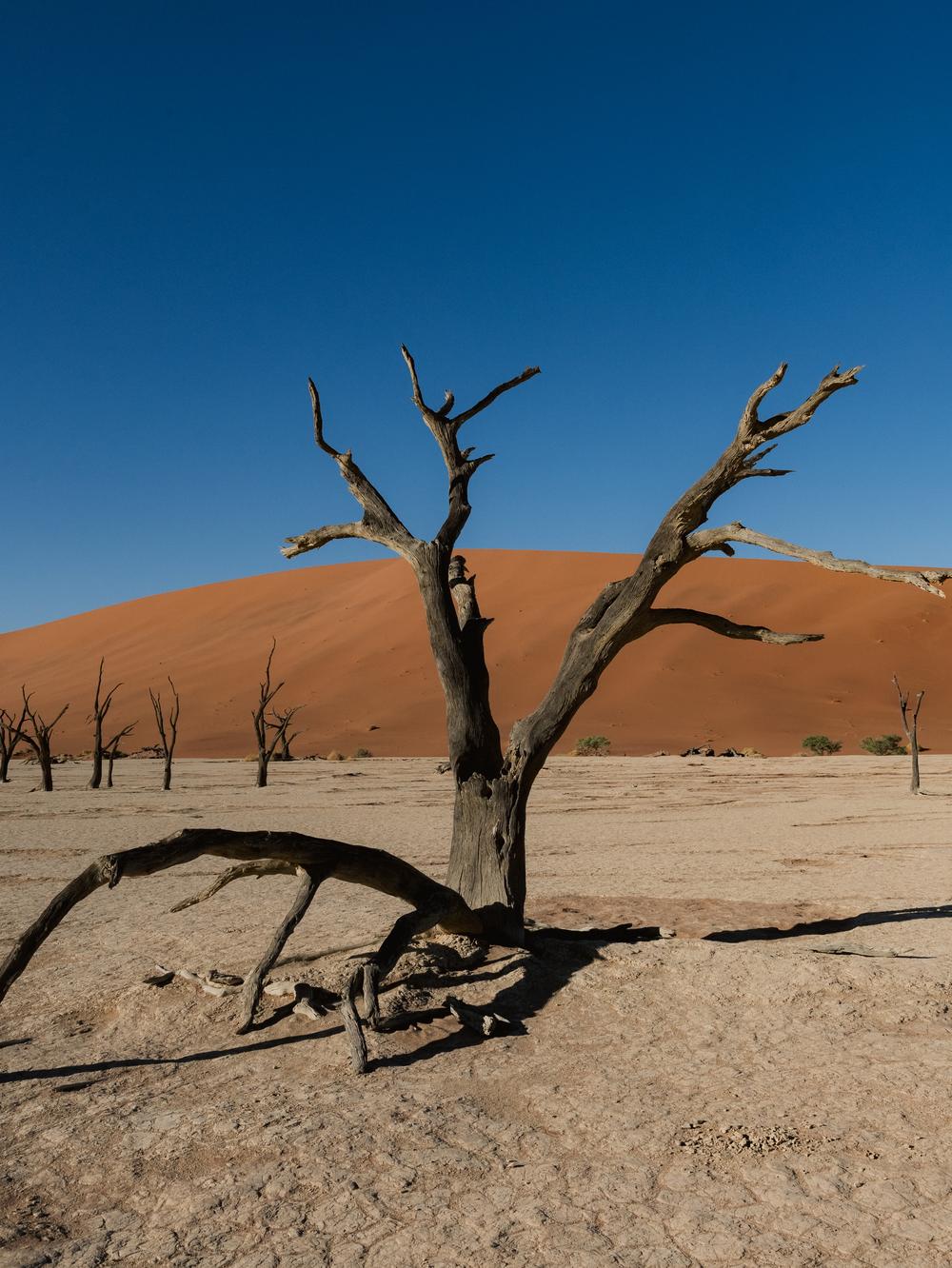 Namibia
