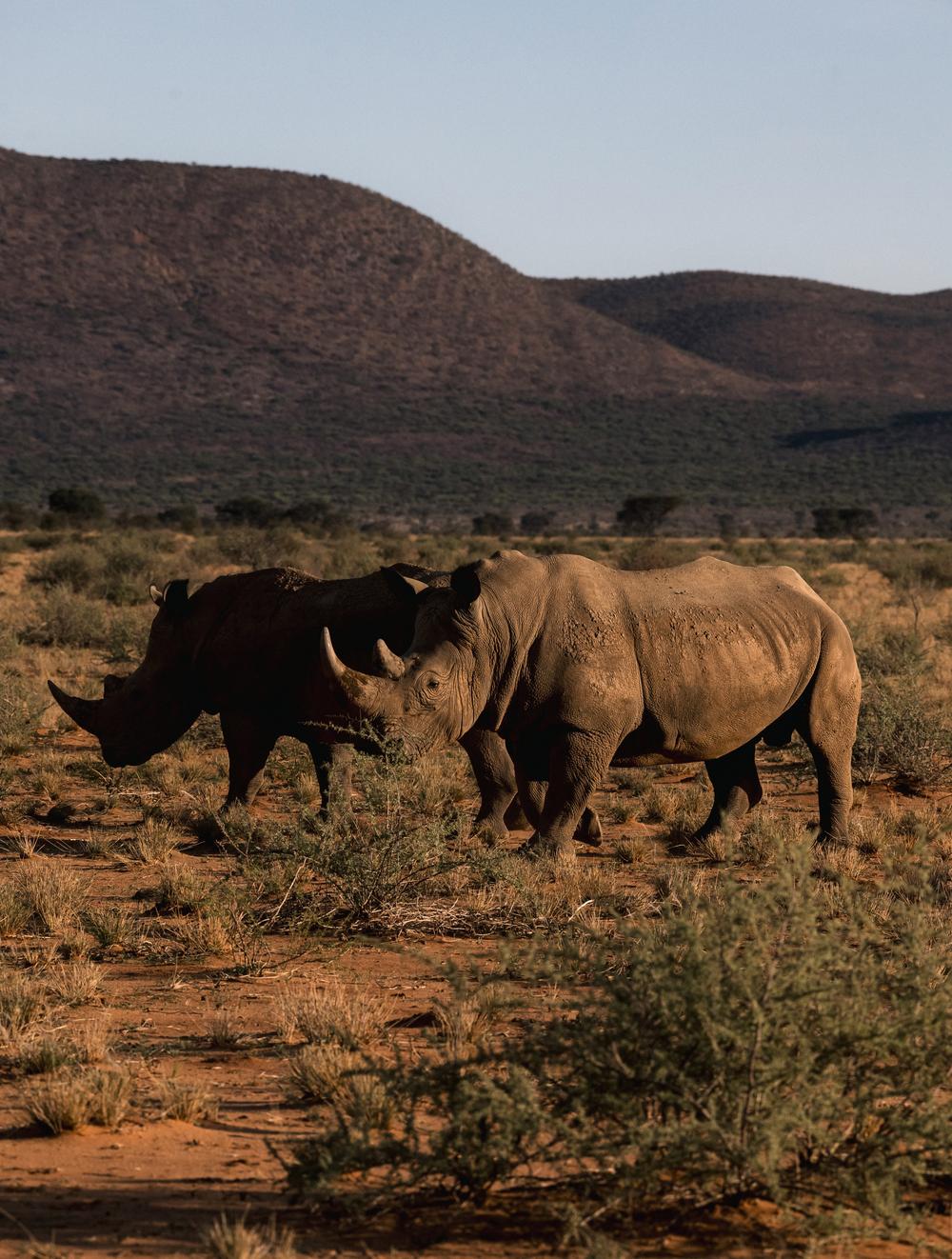 Namibia