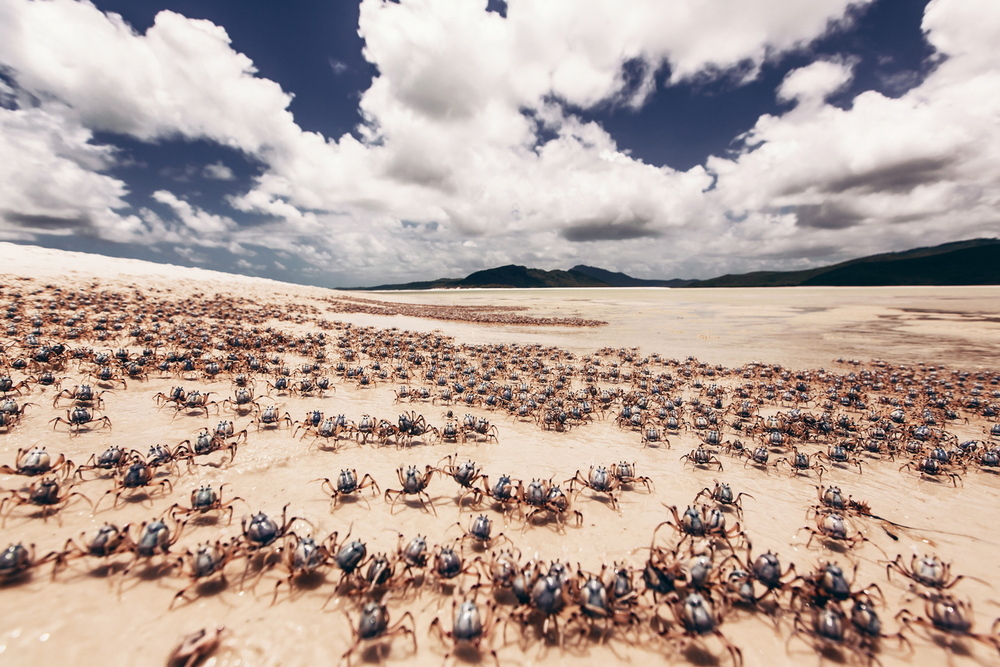 Australia