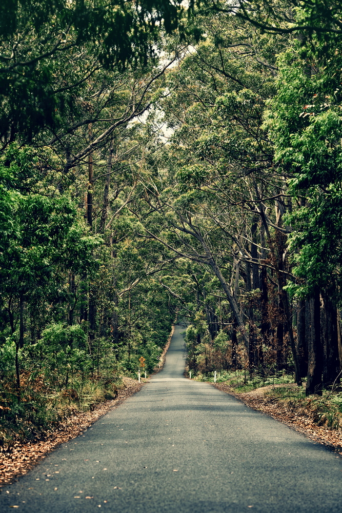 Australia