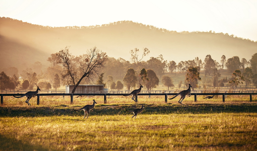 Australia