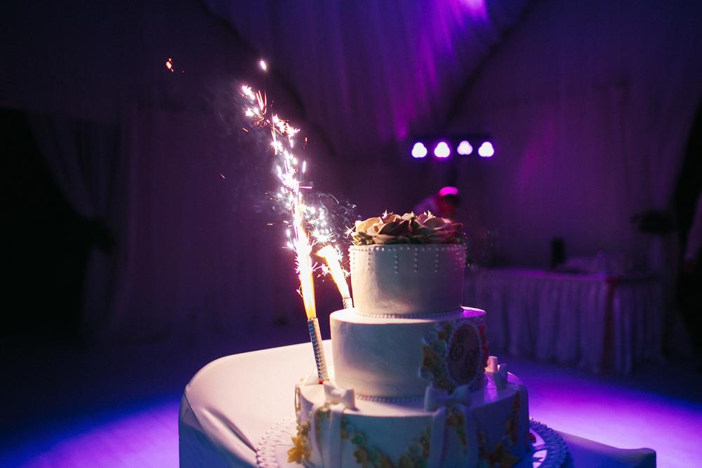 WEDDING - Вера+Женя