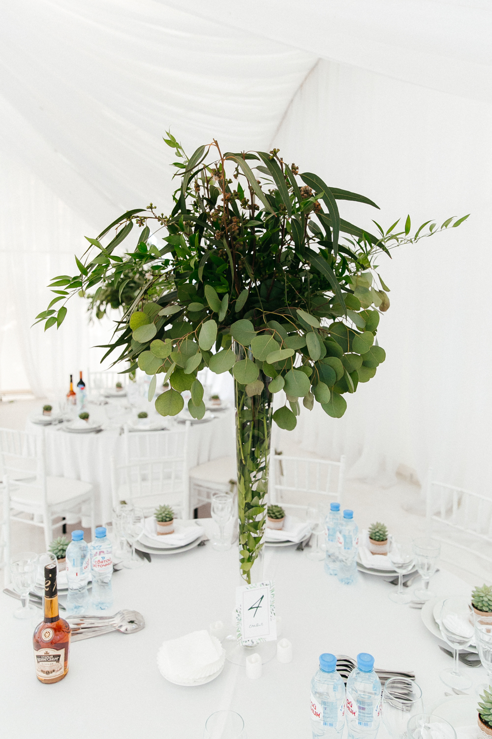 WEDDING - Вера+Женя