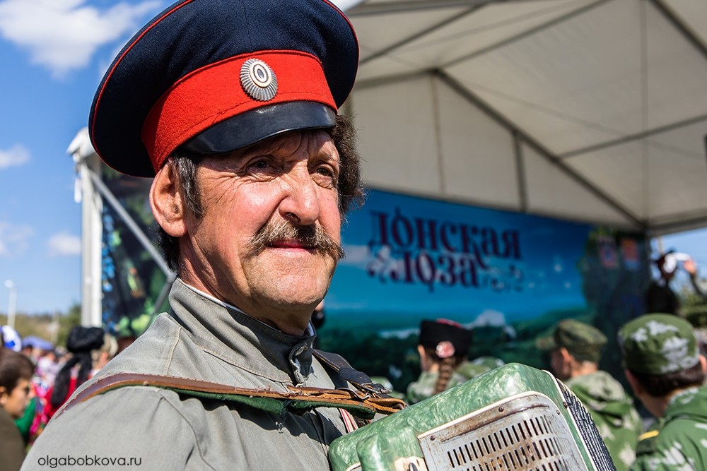 Донская лоза-2017