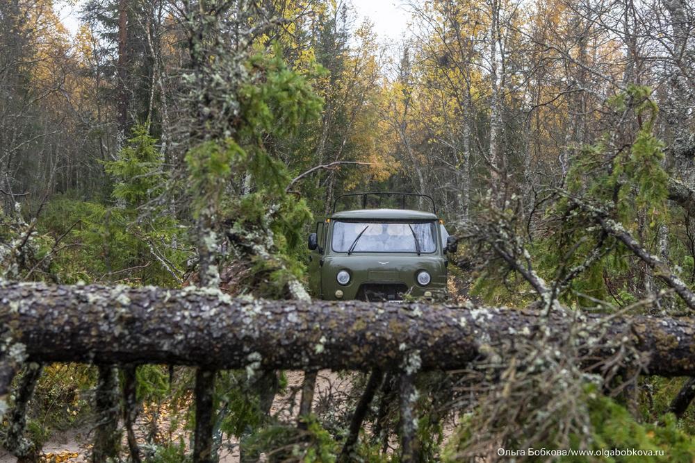 Онежское поморье