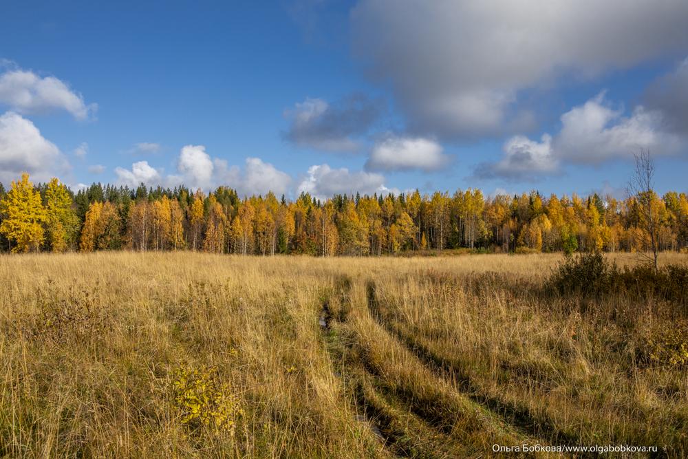 Онежское поморье