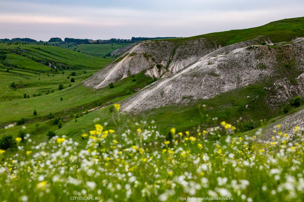 Дивногорье. Воронежская область