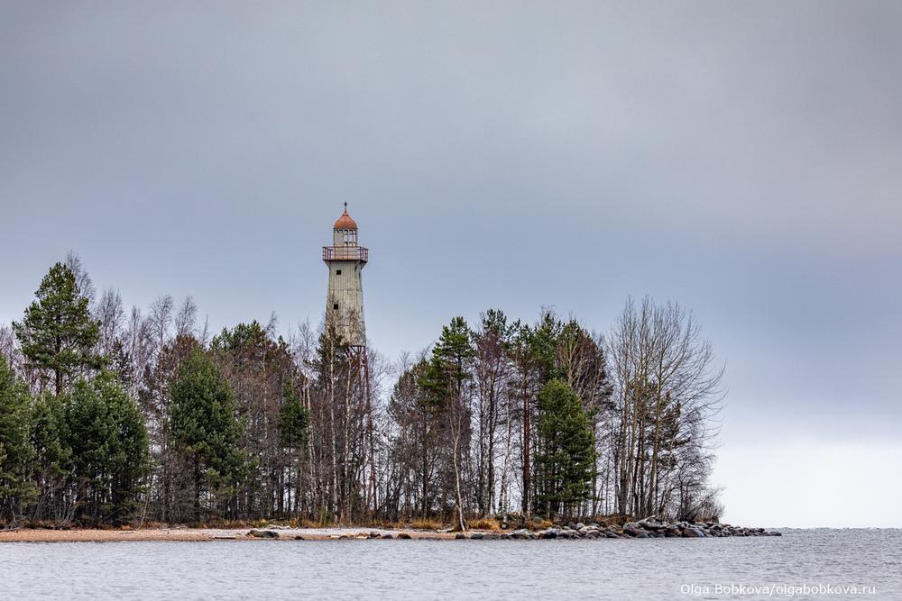 Вепсский лес