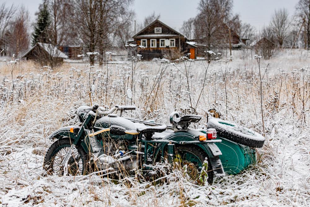 Вепсский лес