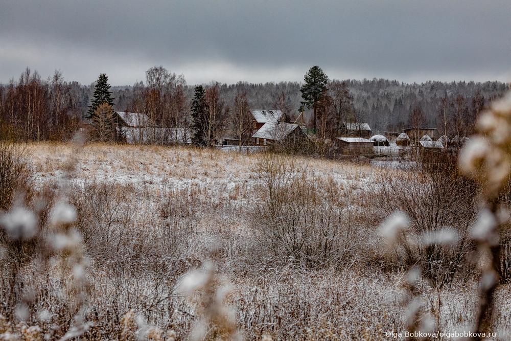 Вепсский лес