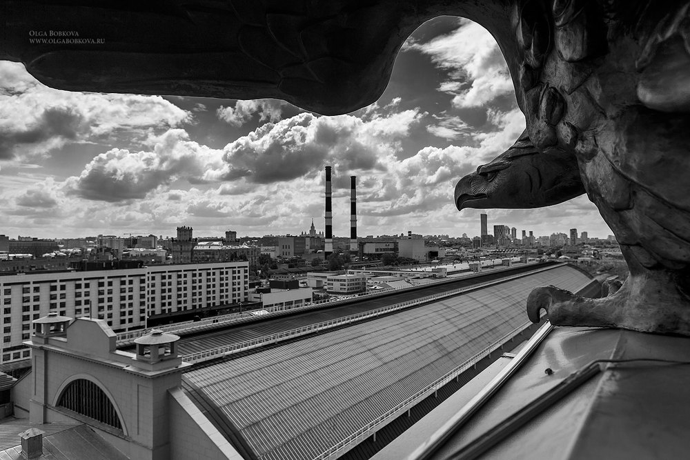Жанровая съемка