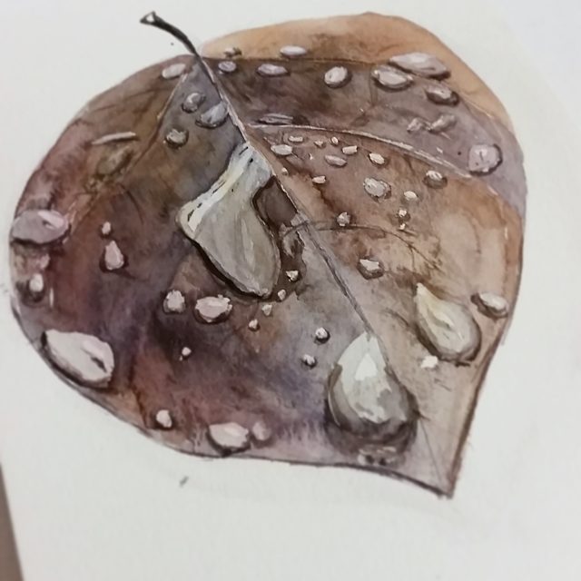 AQUARELLE