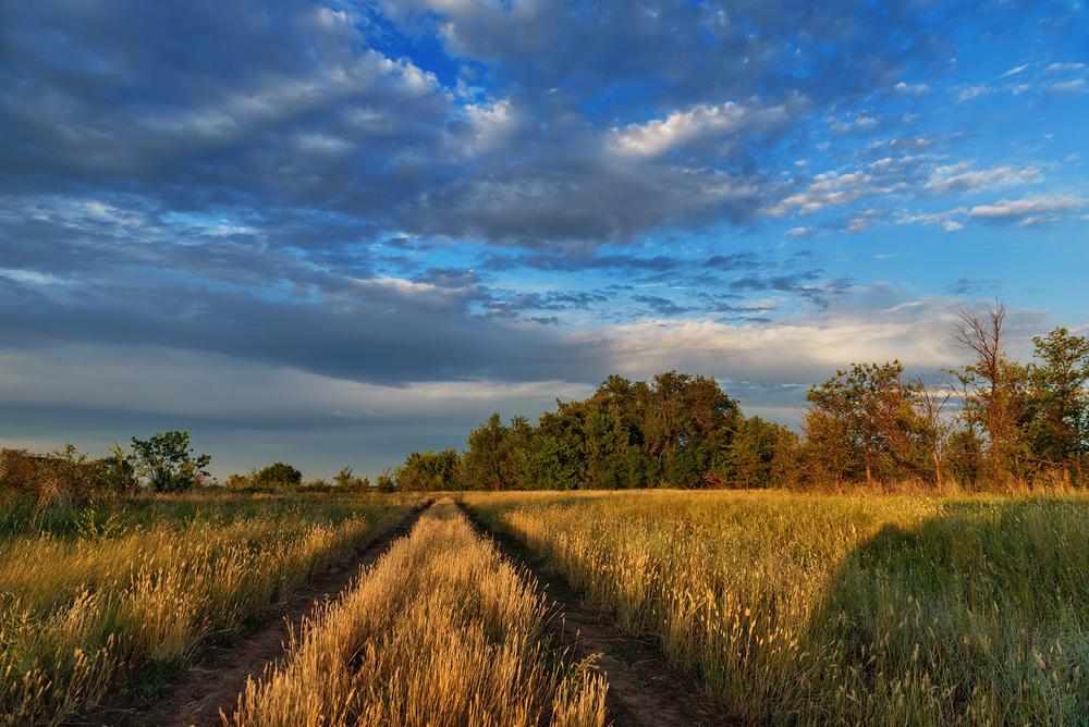 LANDSCAPES (Пейзажи)  - Nature