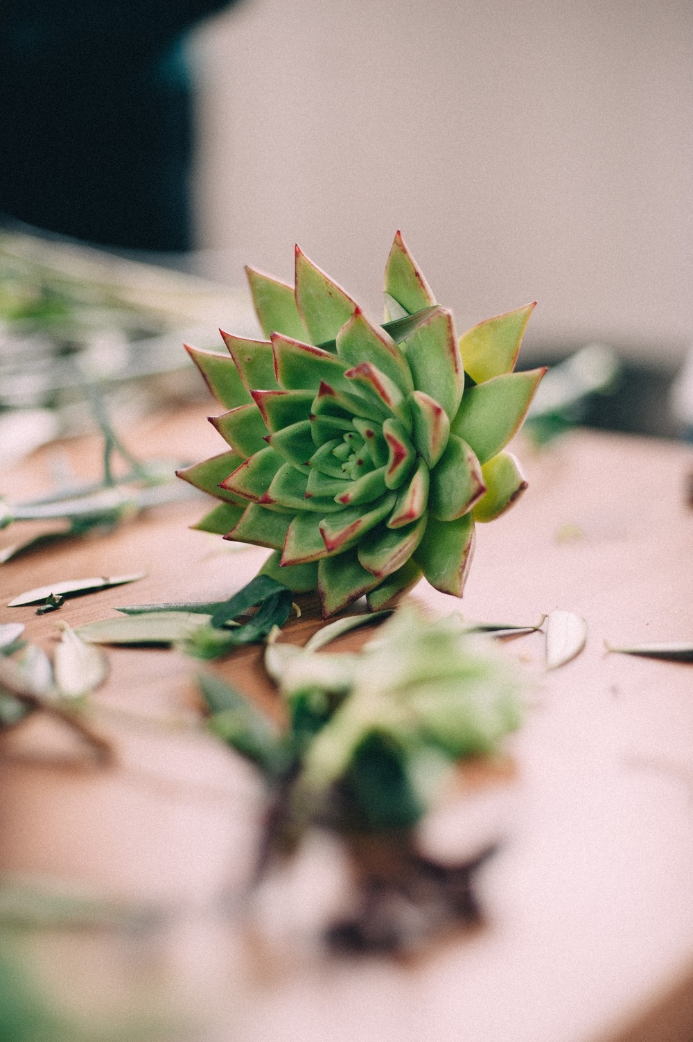 MOSCOWFLOWERSCHOOL МК на тему 