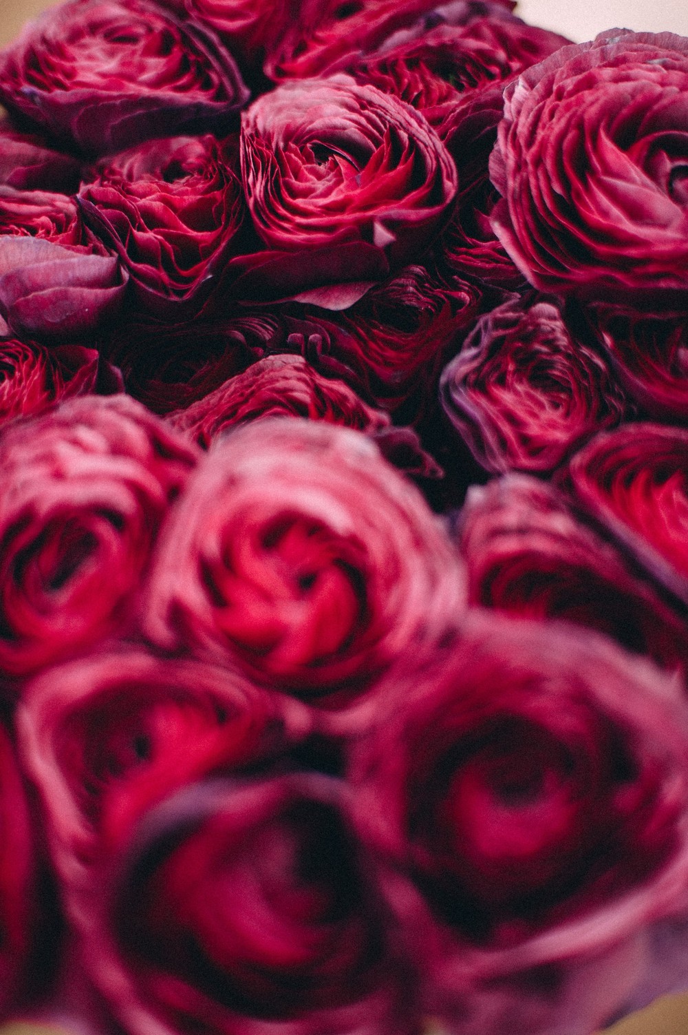 MOSCOWFLOWERSCHOOL МК на тему 