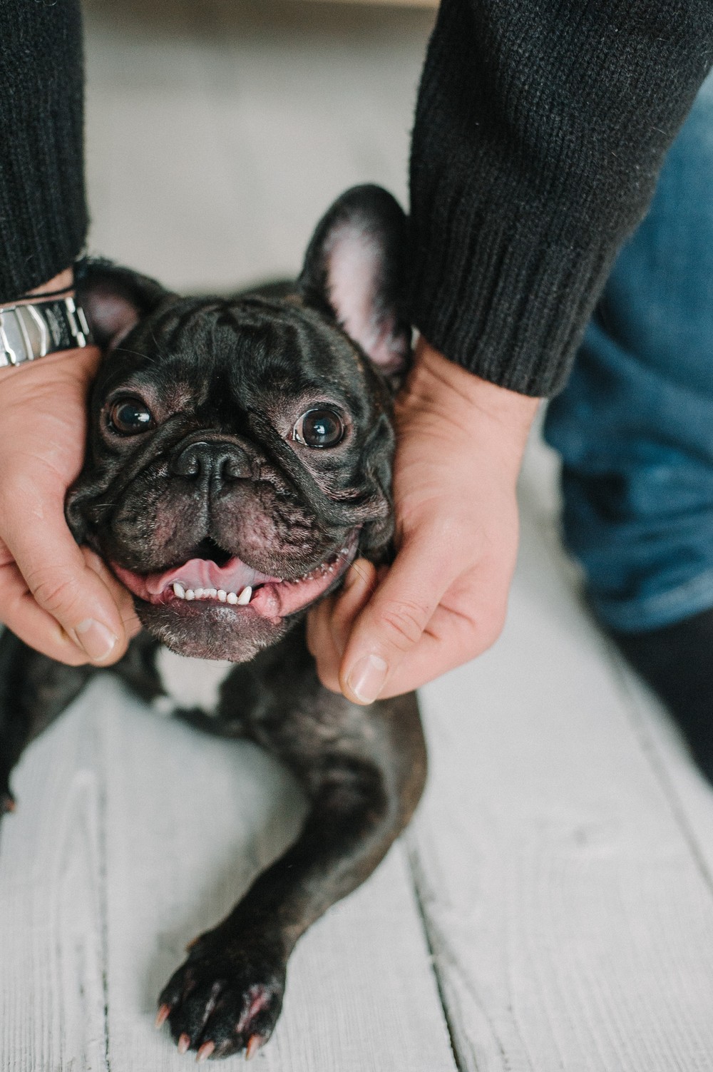 anastasia & stanislav & timur