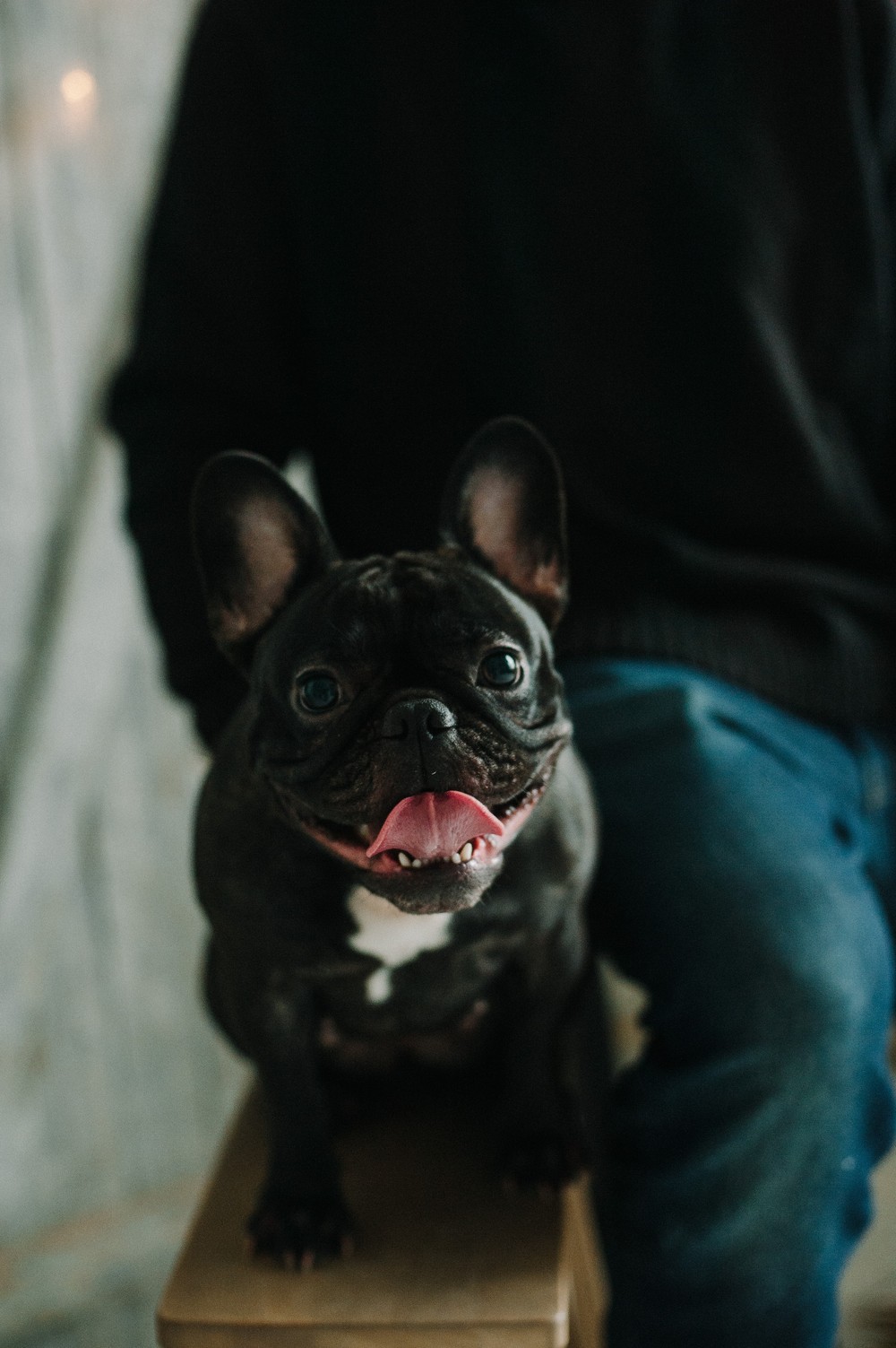 anastasia & stanislav & timur