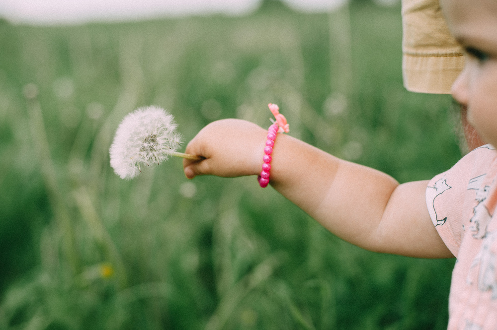 alla & pavel & evdokia