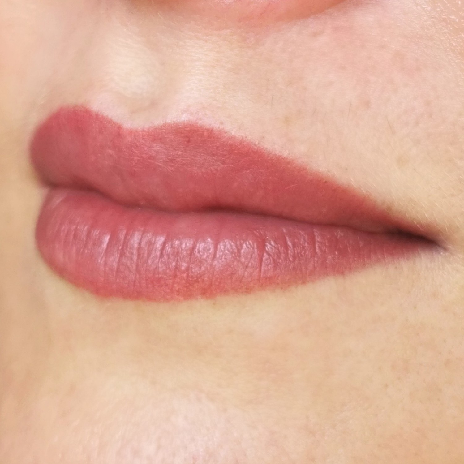 Trucco Permanente delle labbra (subbito dopo trattamento)