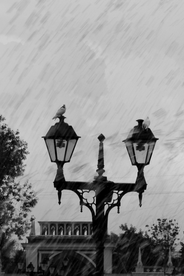 Monochrome