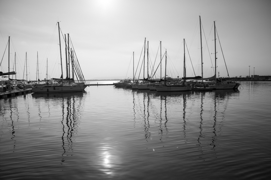 Monochrome
