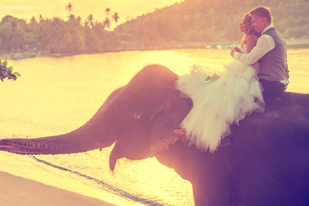 Постановочные фотографии