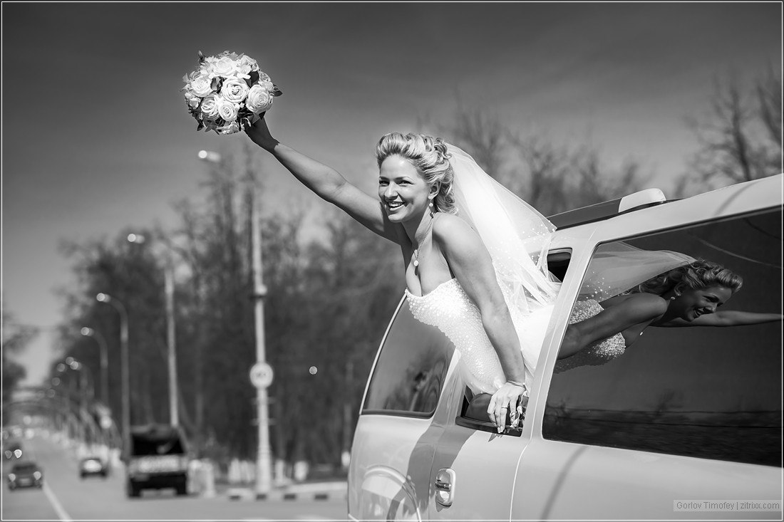 * WEDDING * *PREGNANCY *