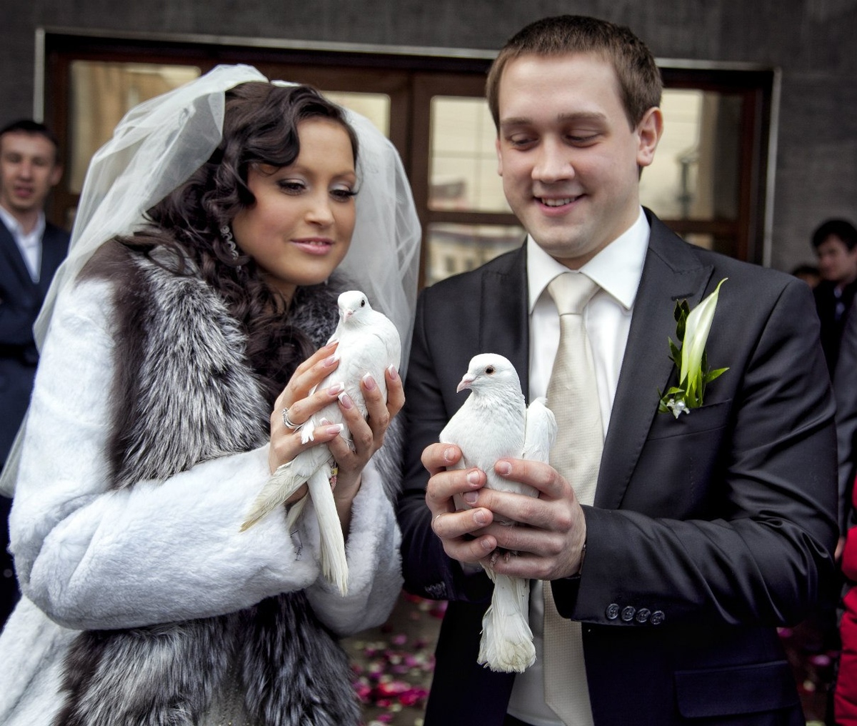 * WEDDING * *PREGNANCY *