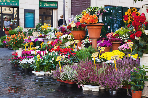 Roma