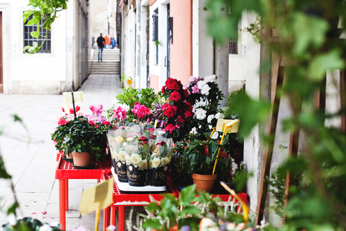 Venezia