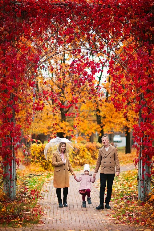 Осень