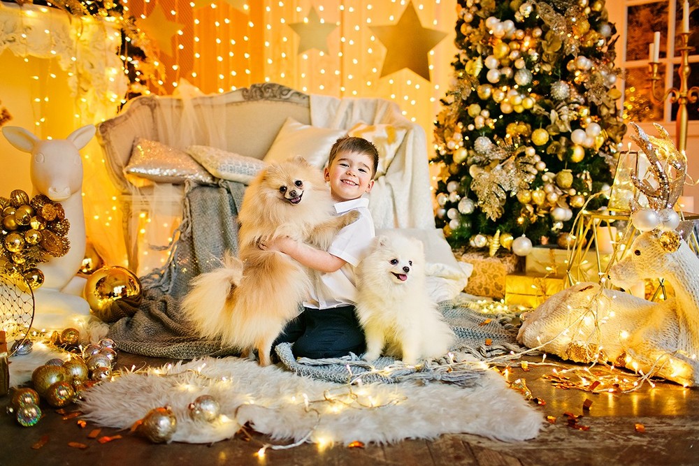 Новогодняя Сказка 2019