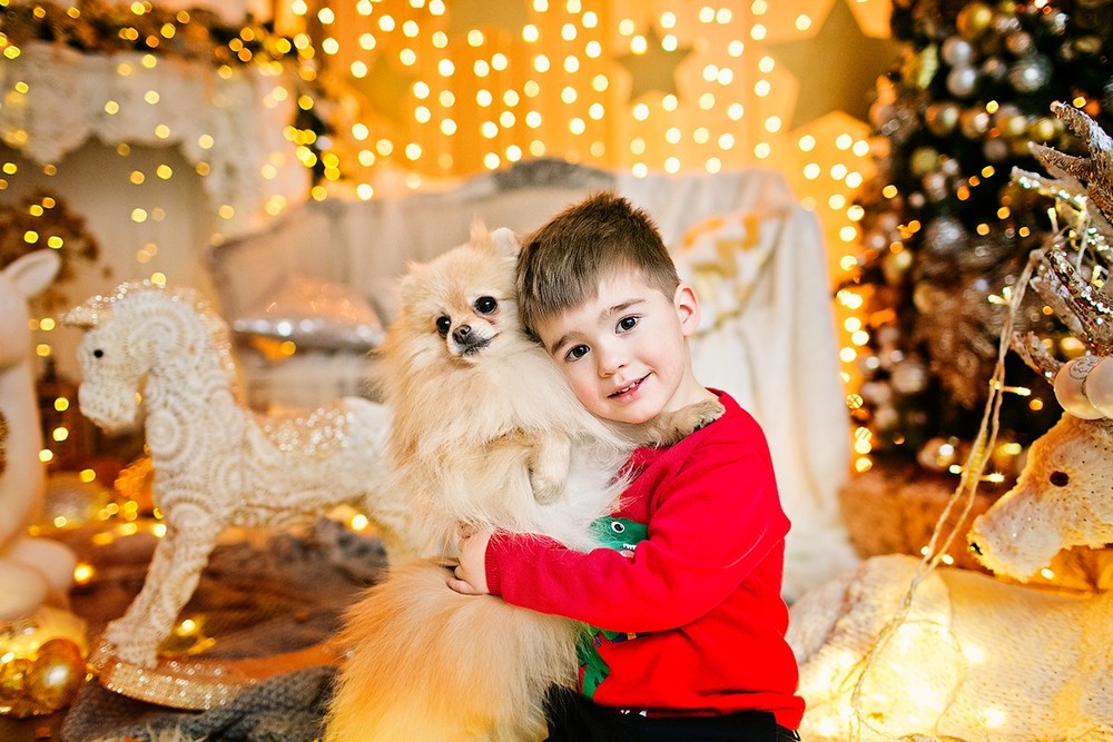 Новогодняя Сказка 2019