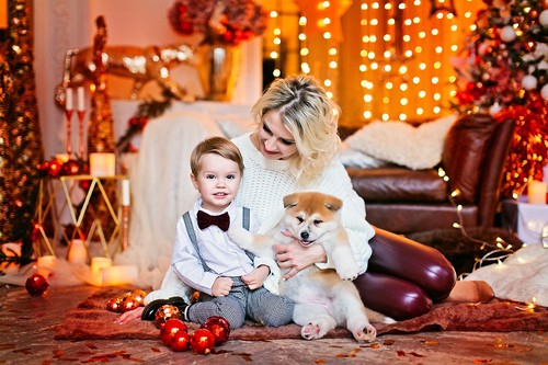 Новогодняя Сказка 2019