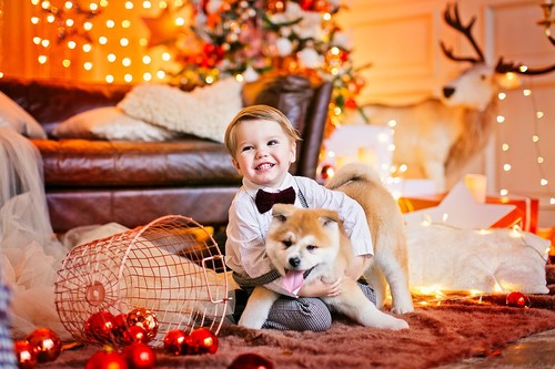 Новогодняя Сказка 2019