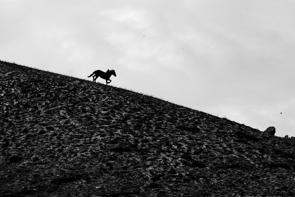 BURYATIA