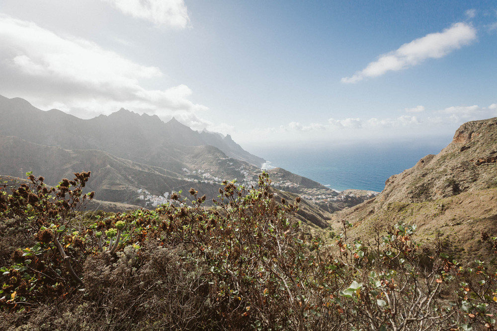 Anastasia Petr Tenerife