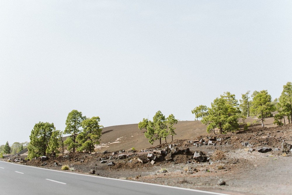 Svetlana Bogdan Tenerife