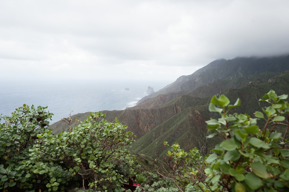 Viktoria Andrey Tenerife
