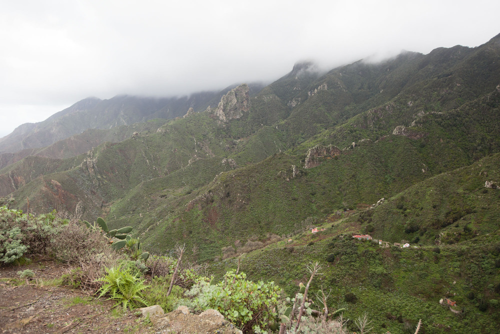 Viktoria Andrey Tenerife