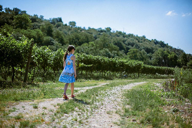 Agriturismo. Июль.