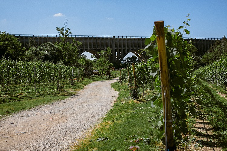 Agriturismo. Июль.