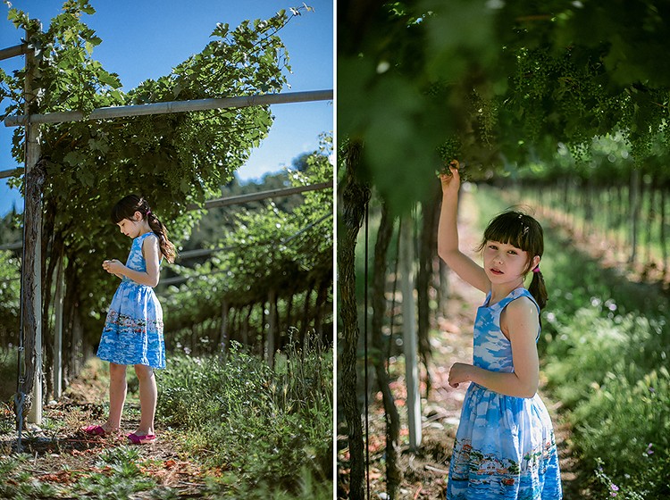 Agriturismo. Июль.