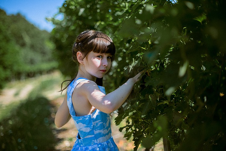 Agriturismo. Июль.
