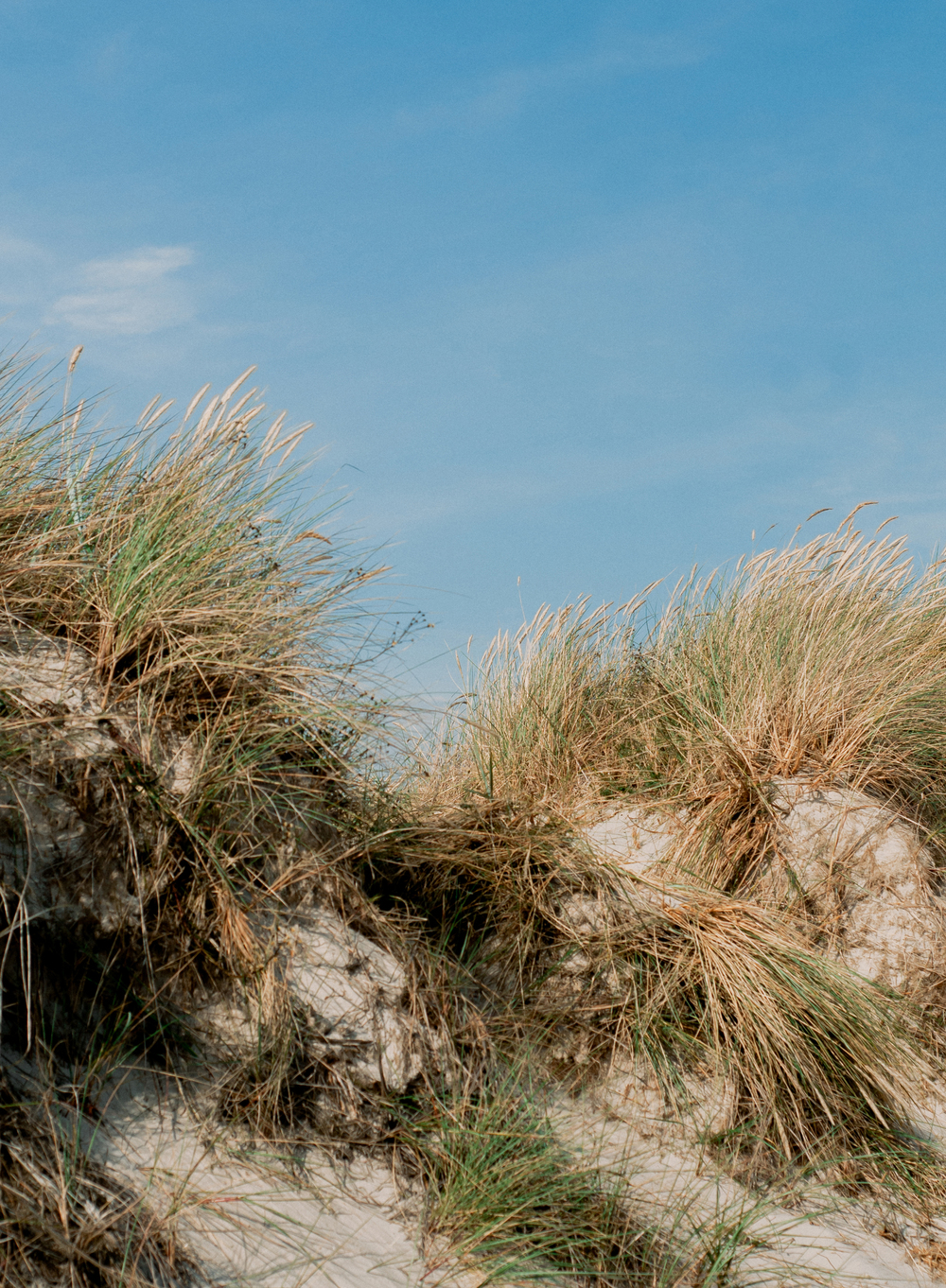 Порноның жас сүйкімділігі