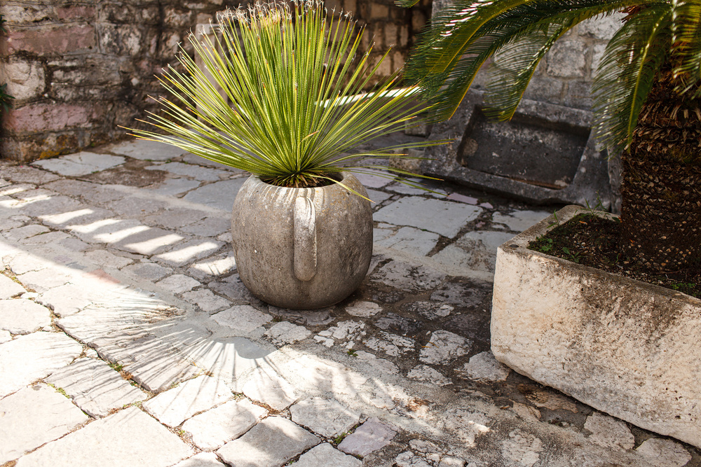 Черногория 2014 