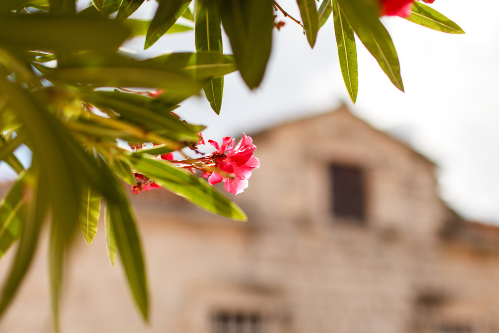 Черногория 2014 