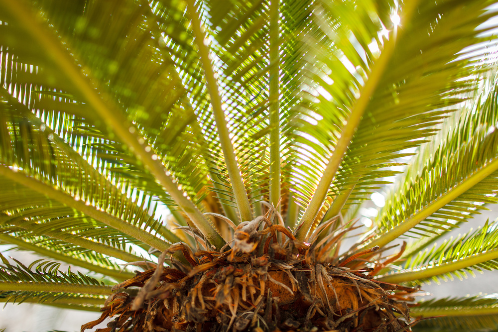 Черногория 2014 