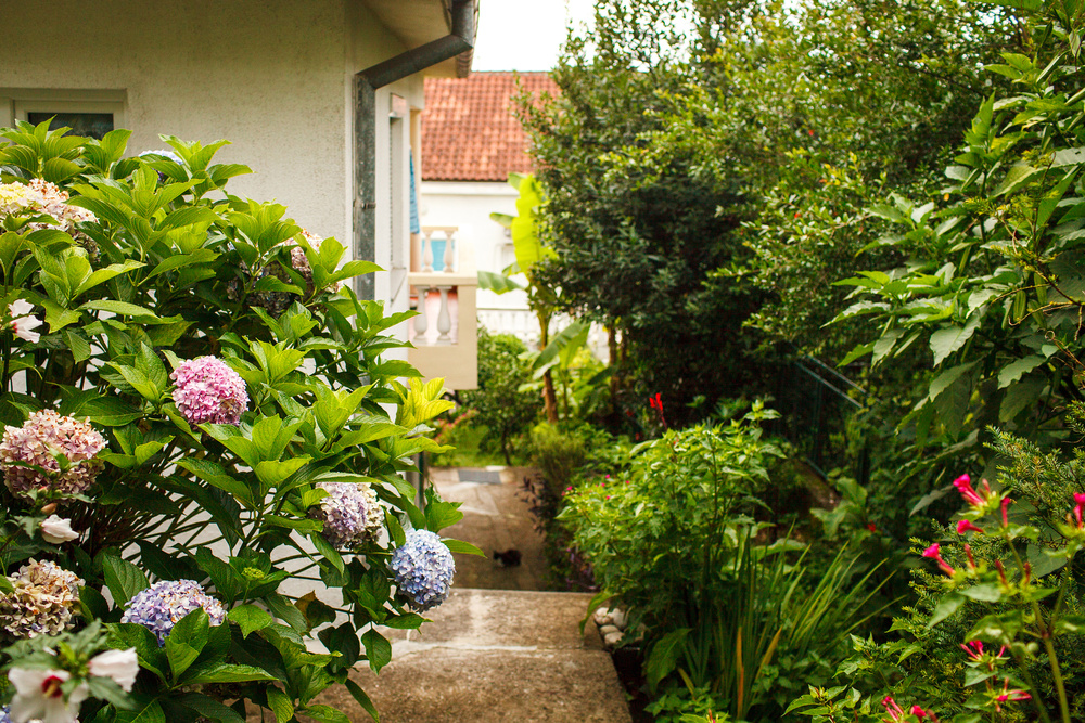 Черногория 2014 